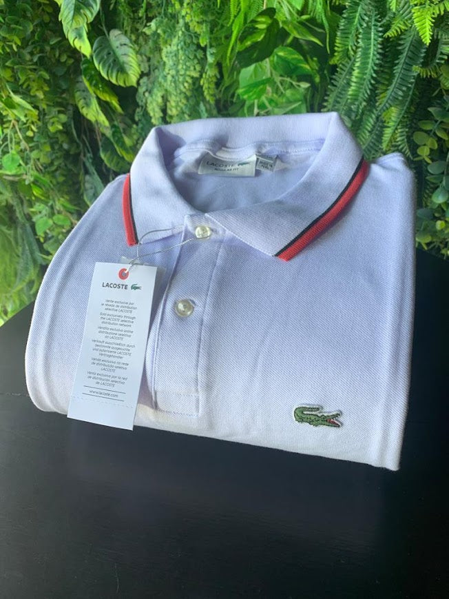 Polo Lacoste Plus Size