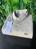 Polo Lacoste Plus Size