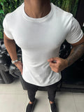 CRVAN22